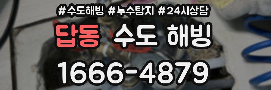 답동 수도 해빙