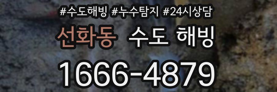 선화동 수도 해빙