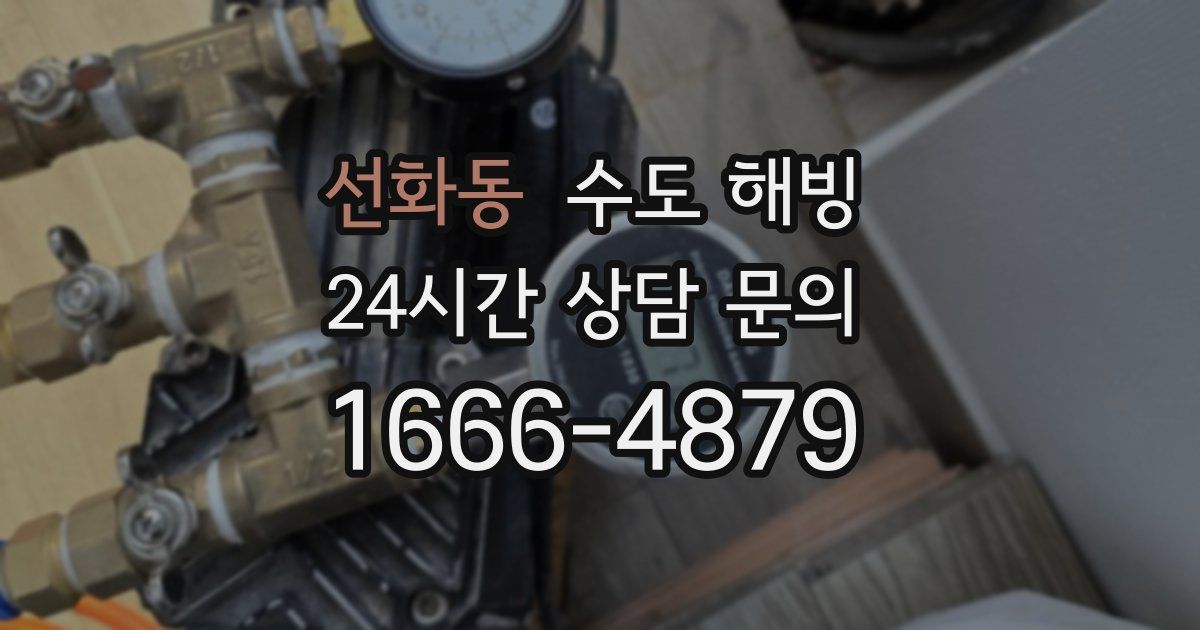 선화동 수도 해빙