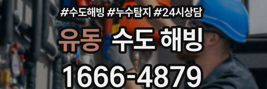 유동 수도 해빙