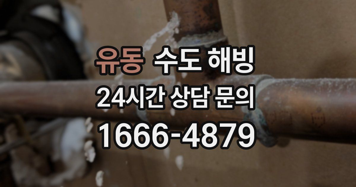 유동 수도 해빙