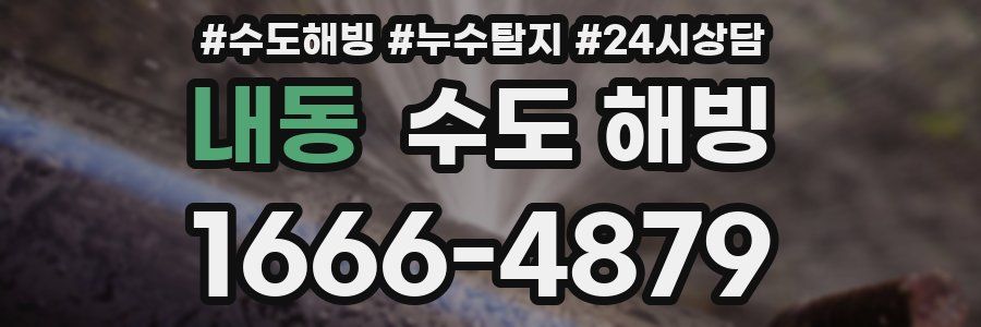 내동 수도 해빙
