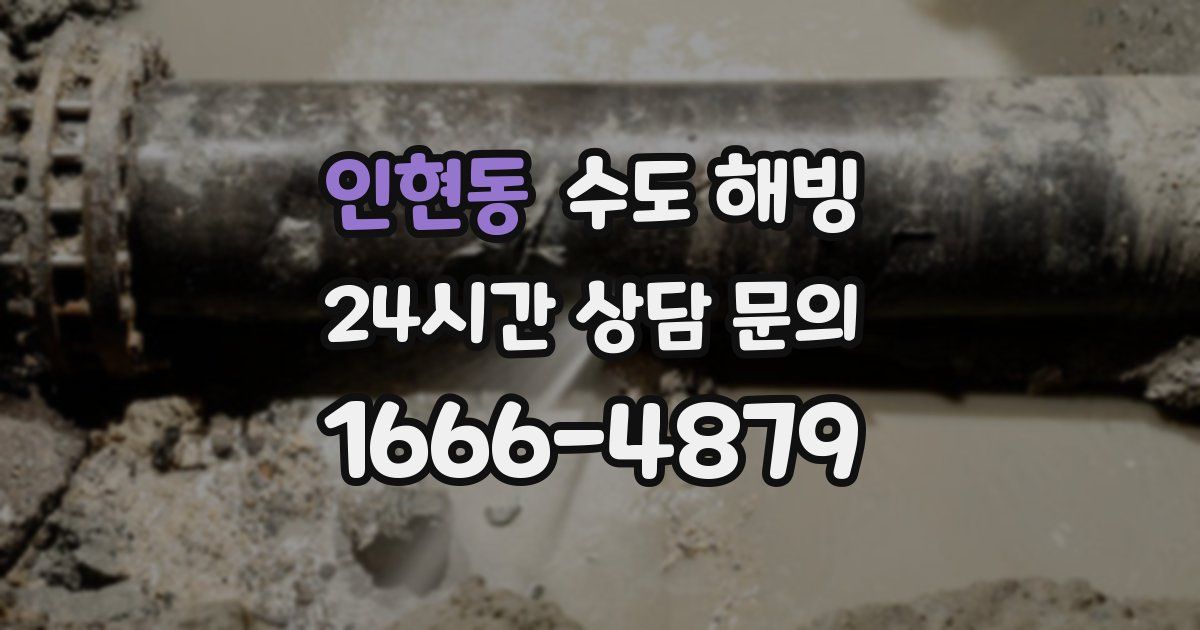 인현동 수도 해빙