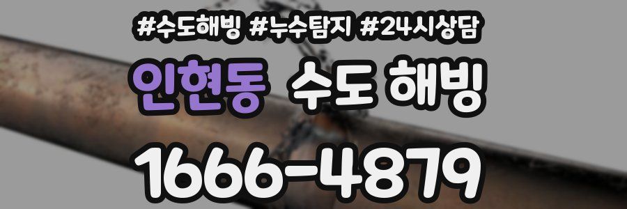 인현동 수도 해빙