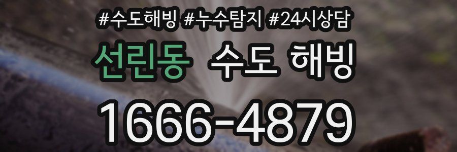 선린동 수도 해빙