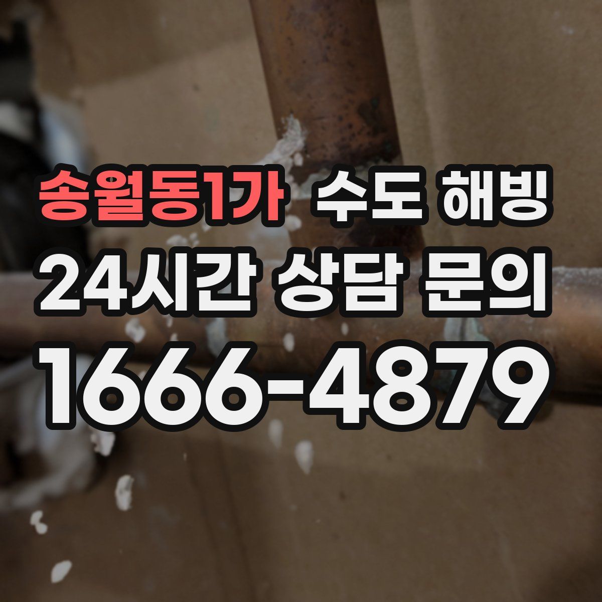 송월동1가 수도 해빙