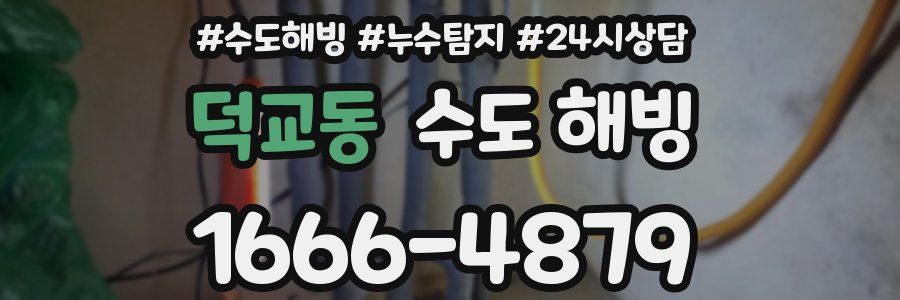 덕교동 수도 해빙