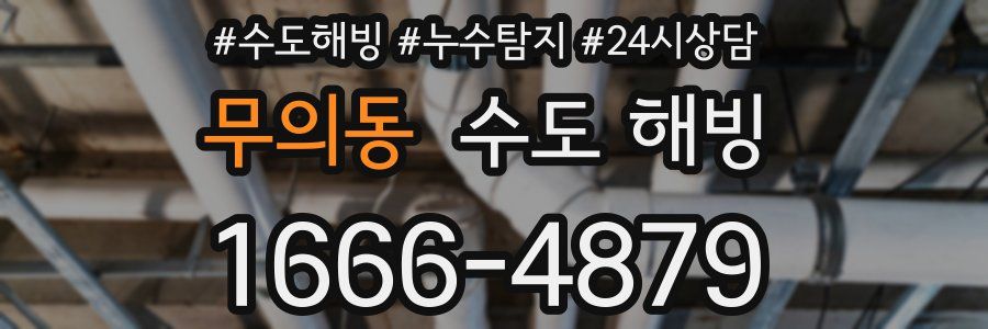 무의동 수도 해빙