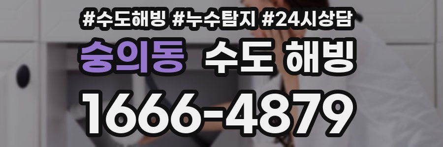 숭의동 수도 해빙