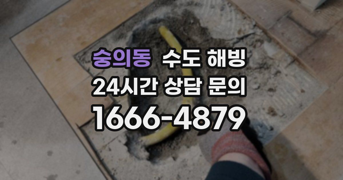 숭의동 수도 해빙