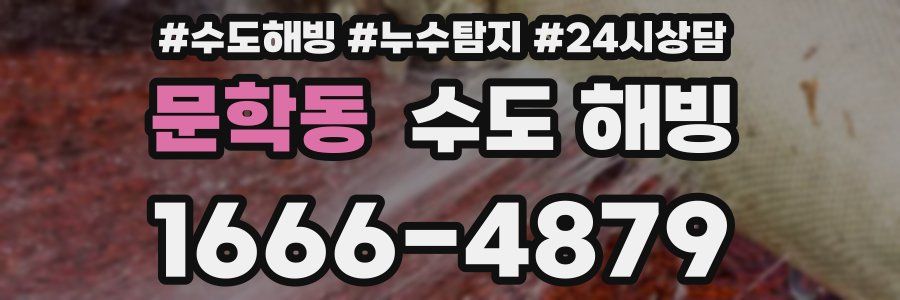 문학동 수도 해빙