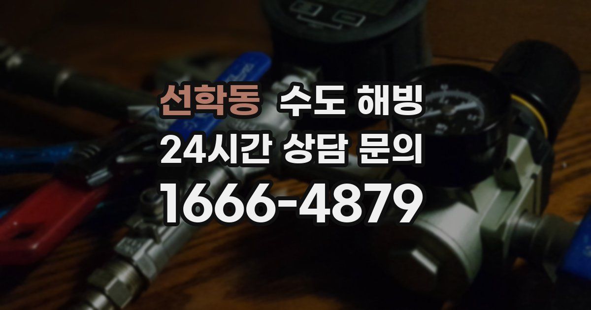 선학동 수도 해빙