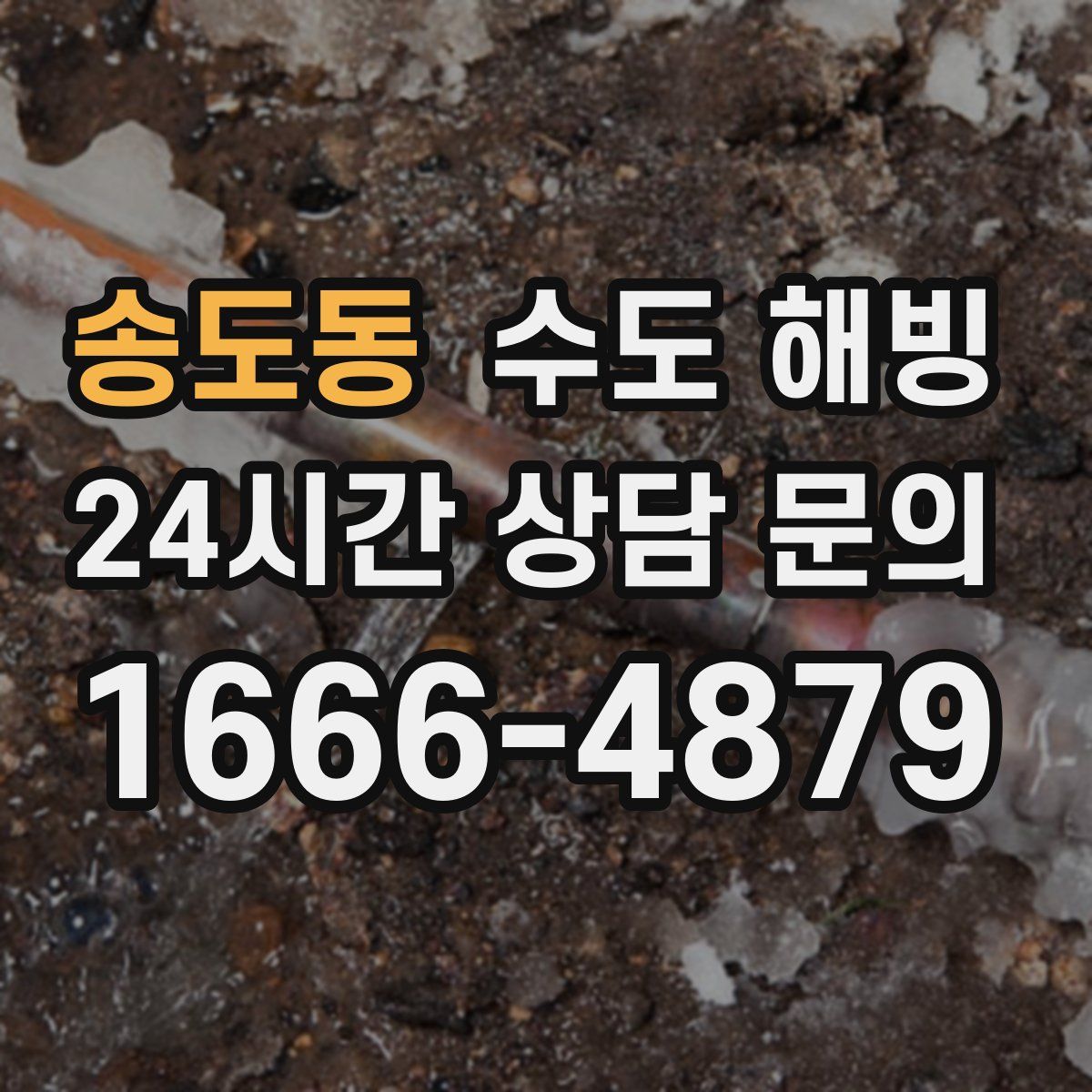 송도동 수도 해빙