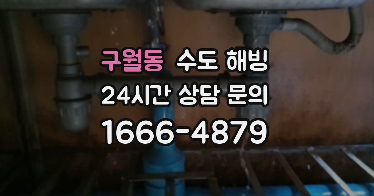 구월동 수도 해빙