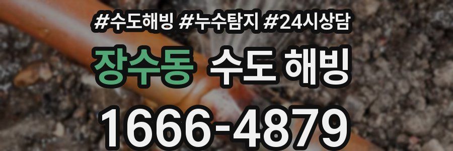장수동 수도 해빙