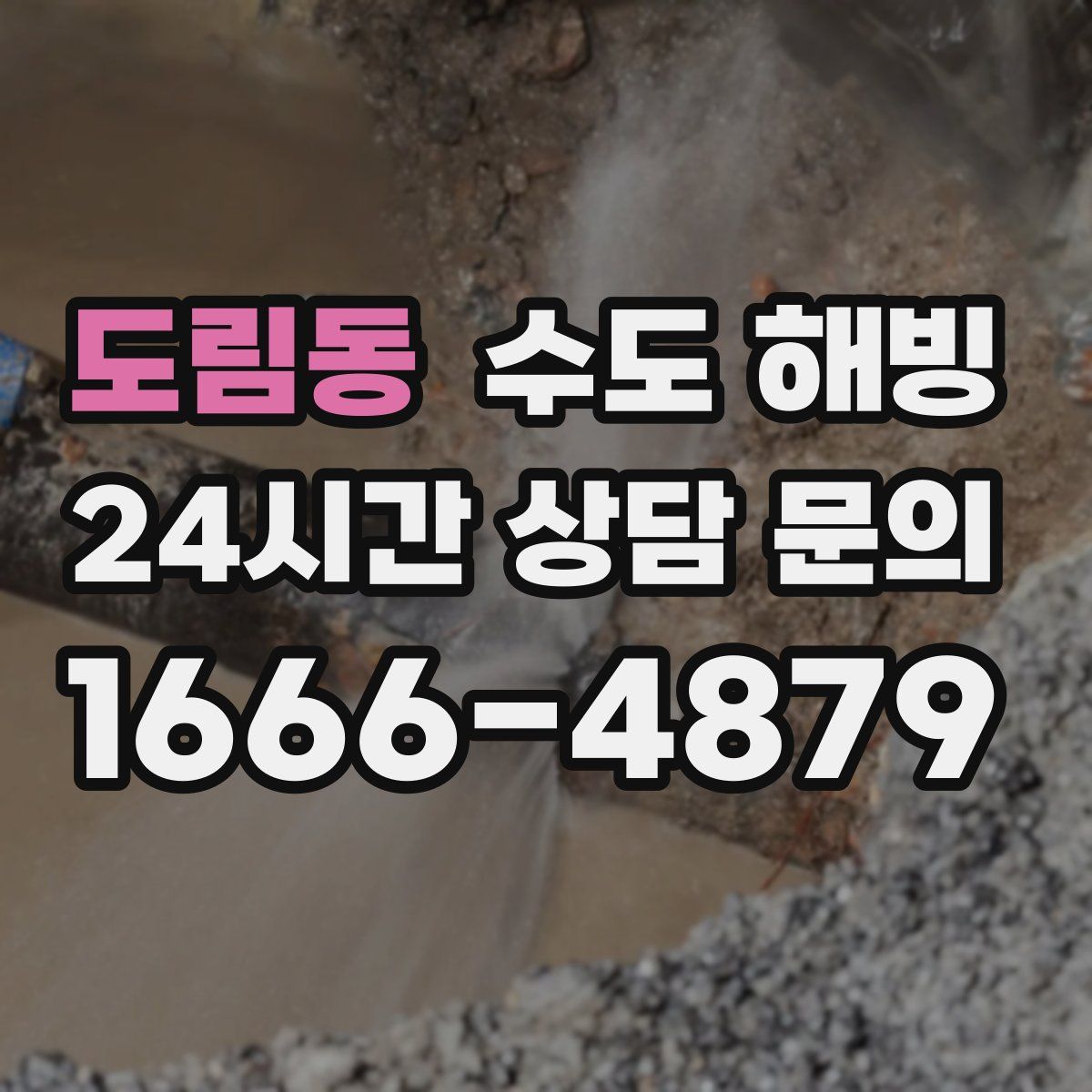 도림동 수도 해빙