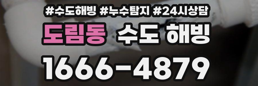 도림동 수도 해빙