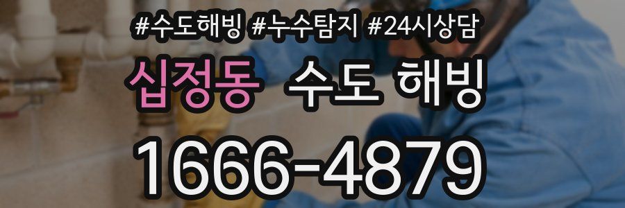 십정동 수도 해빙