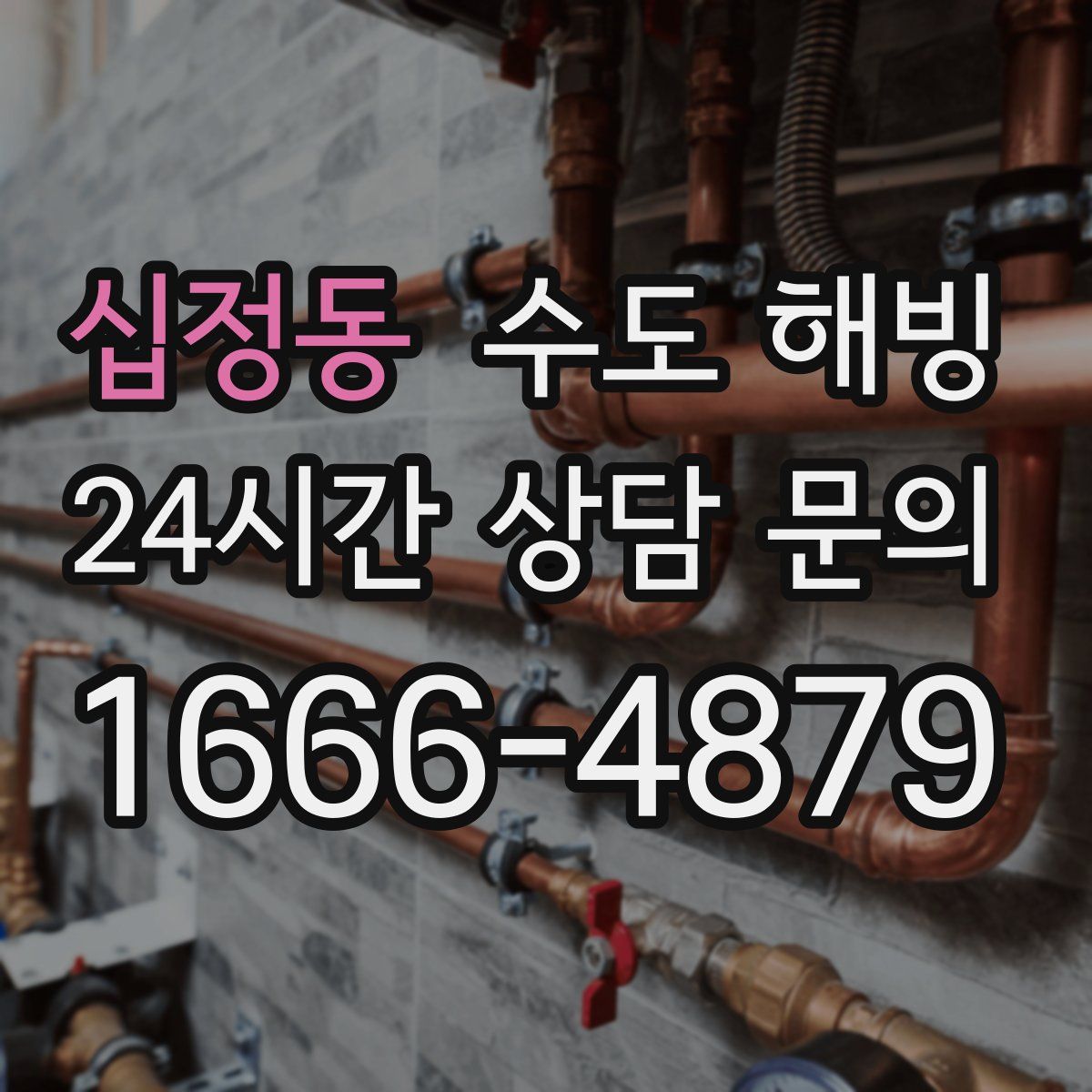 십정동 수도 해빙