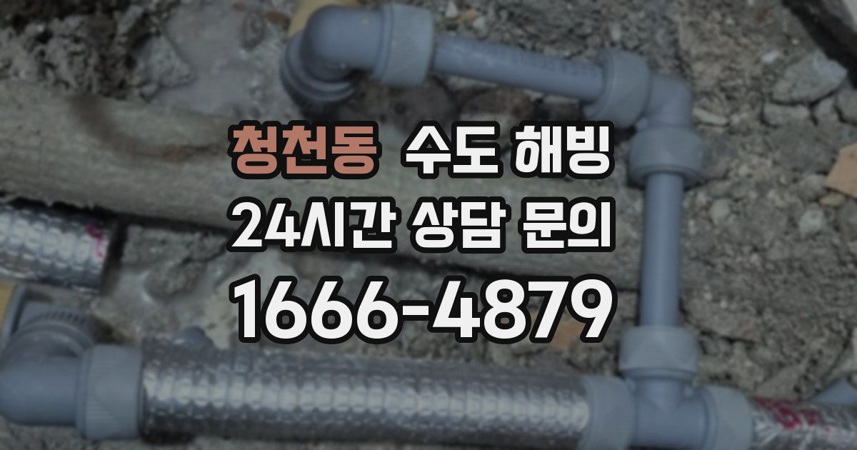 청천동 수도 해빙