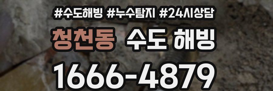 청천동 수도 해빙