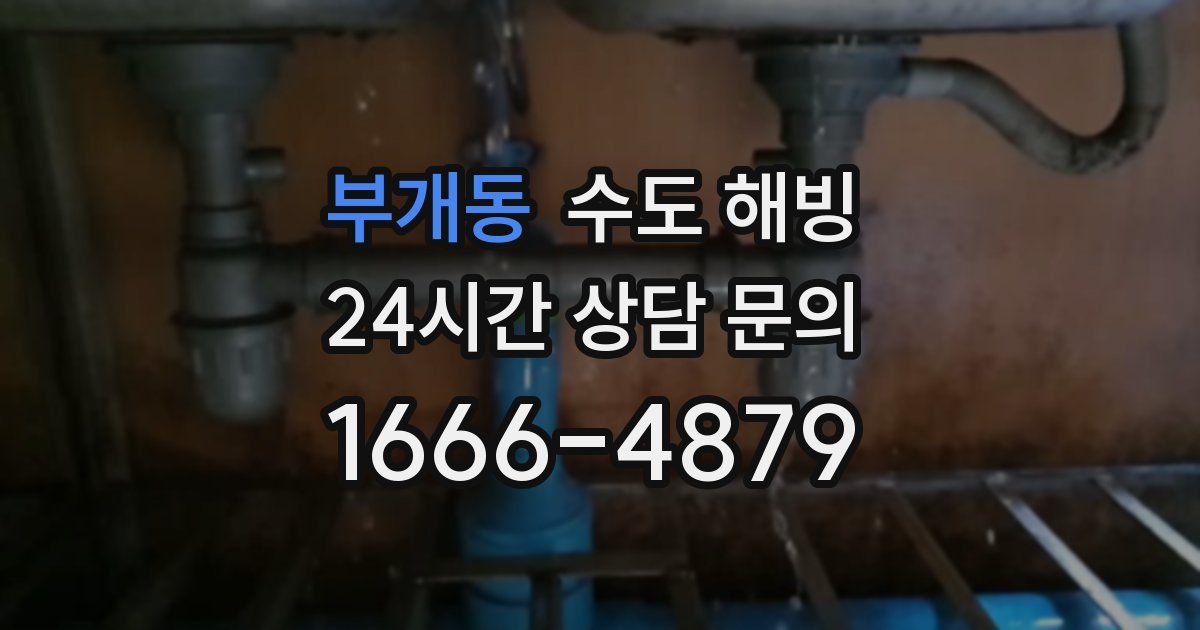 부개동 수도 해빙