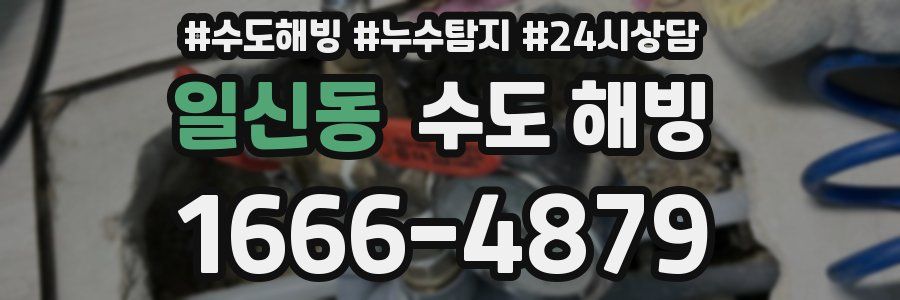 일신동 수도 해빙