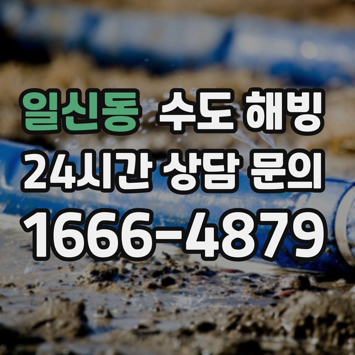 일신동 수도 해빙