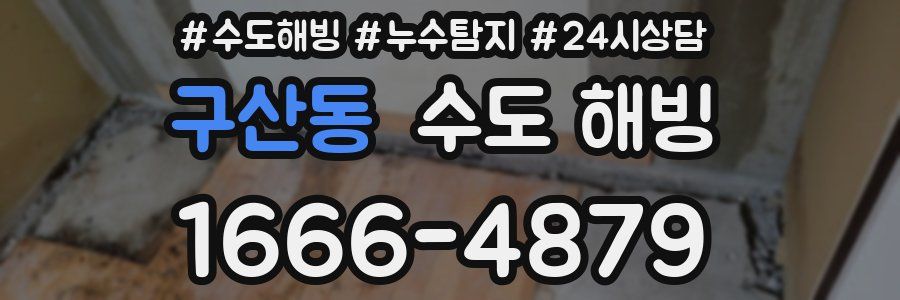 구산동 수도 해빙