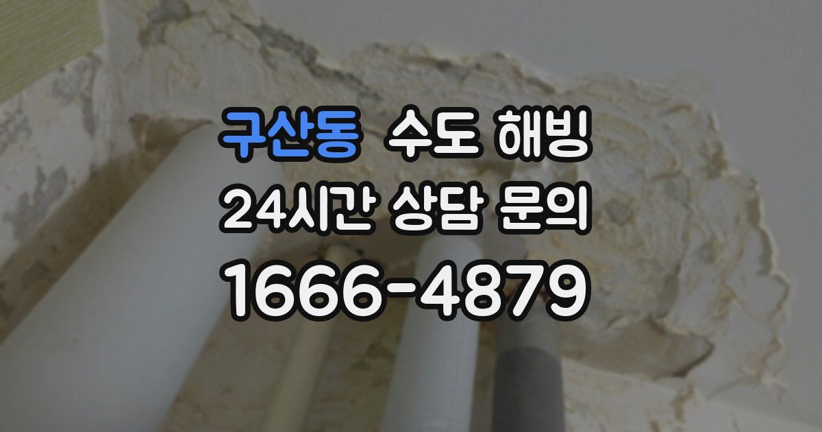 구산동 수도 해빙