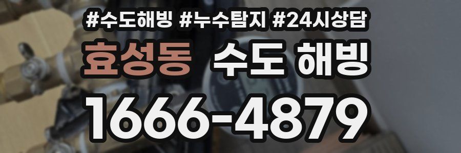 효성동 수도 해빙