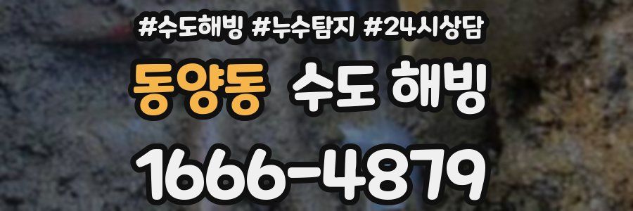 동양동 수도 해빙