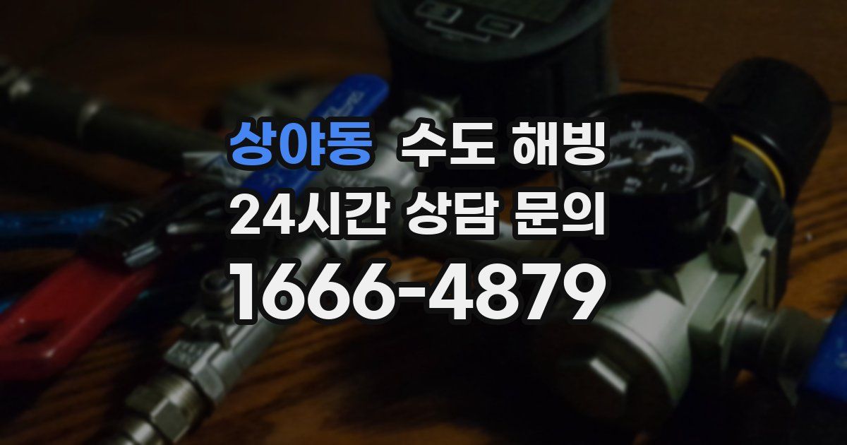 상야동 수도 해빙