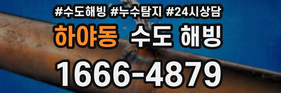 하야동 수도 해빙
