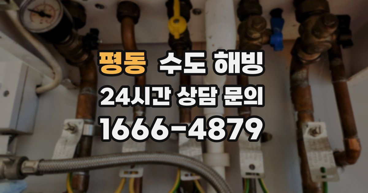 평동 수도 해빙