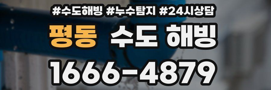 평동 수도 해빙