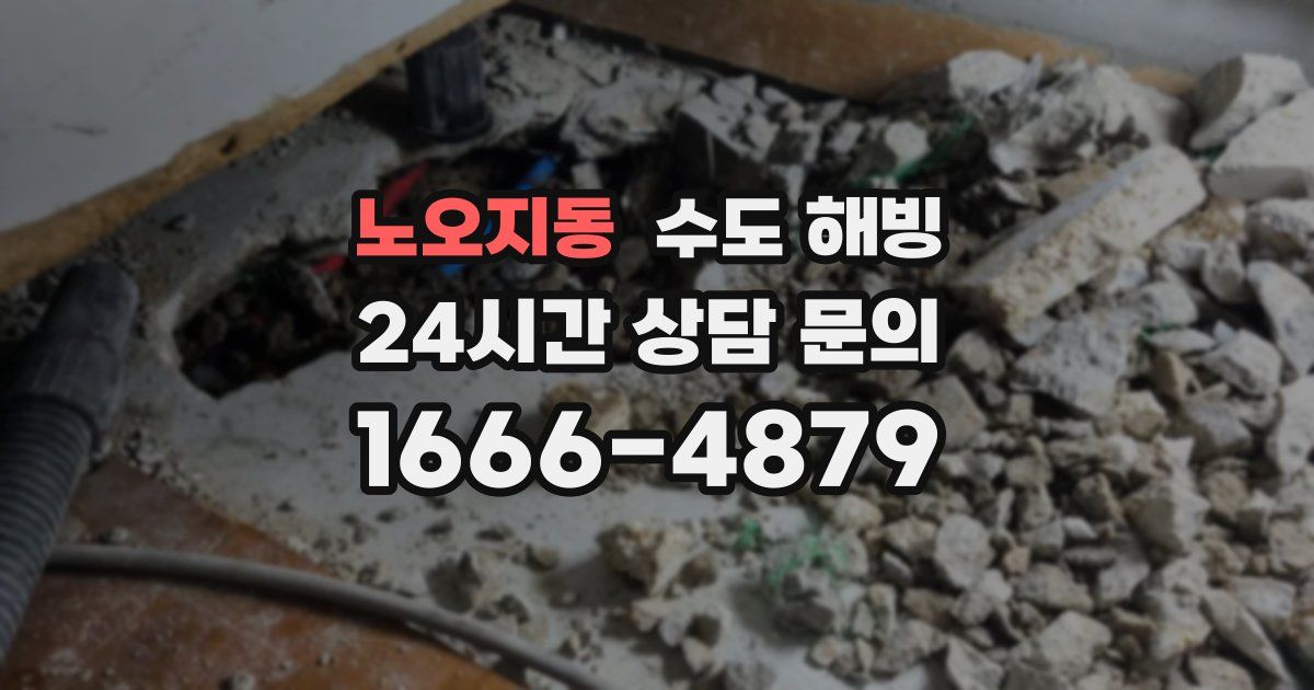 노오지동 수도 해빙