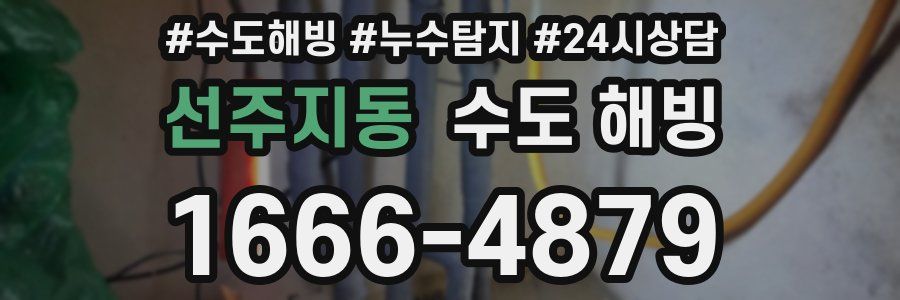 선주지동 수도 해빙