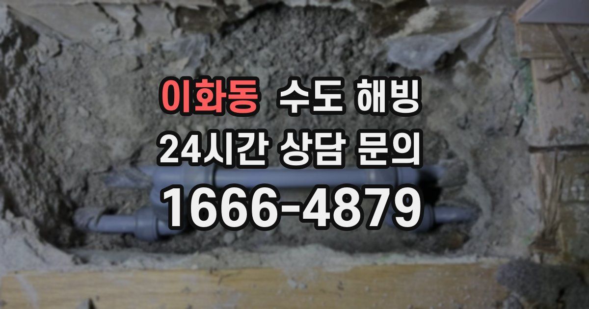 이화동 수도 해빙