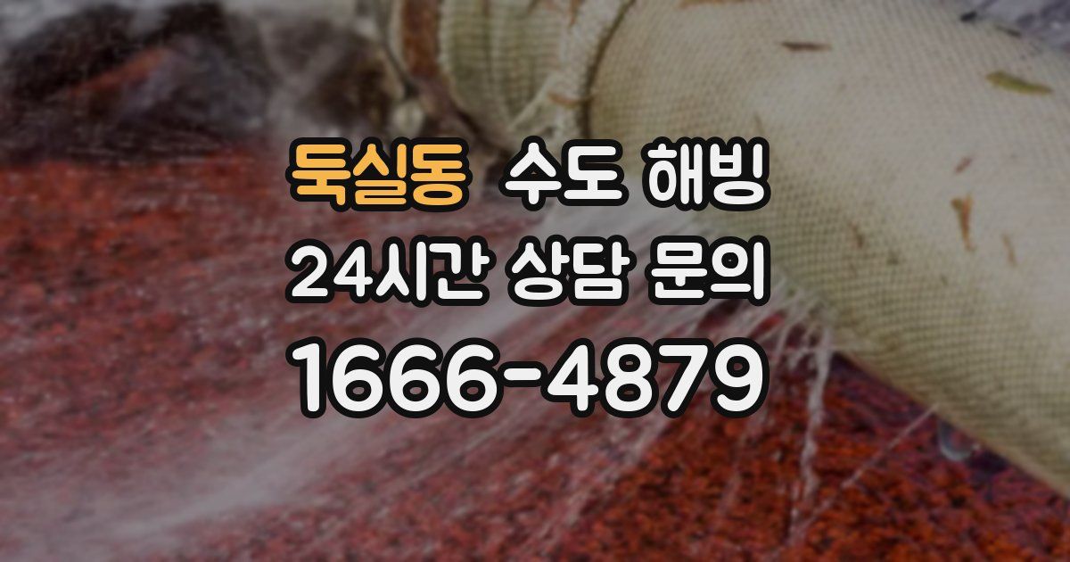 둑실동 수도 해빙