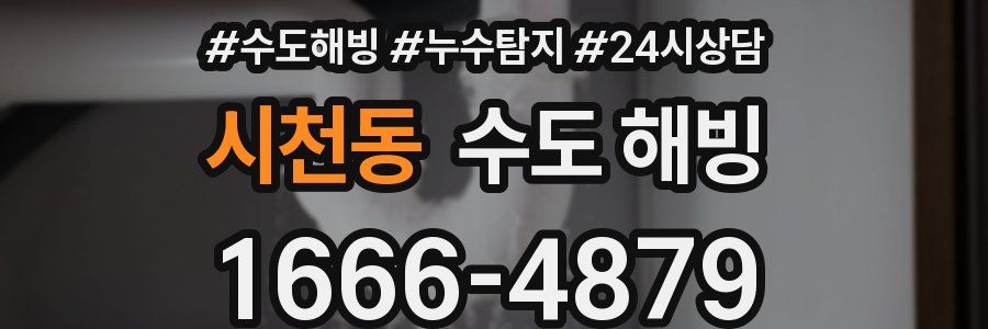 시천동 수도 해빙