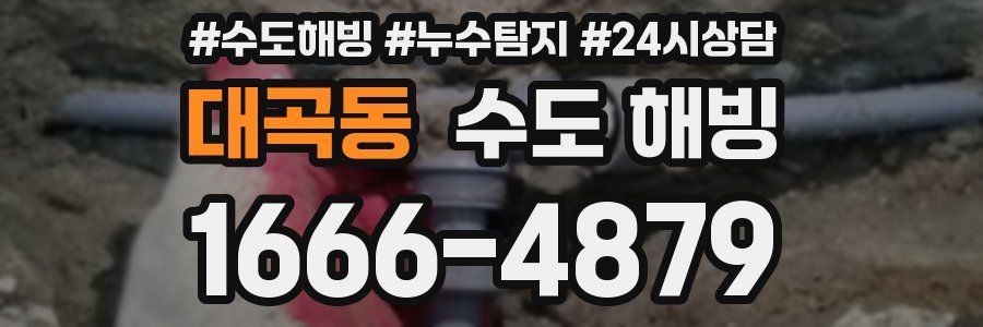 대곡동 수도 해빙