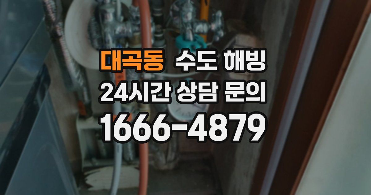 대곡동 수도 해빙