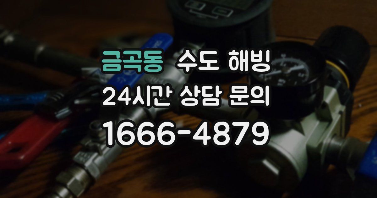 금곡동 수도 해빙