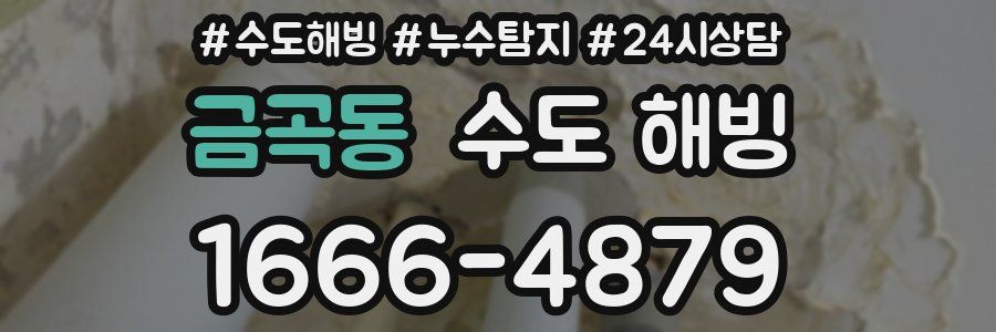 금곡동 수도 해빙