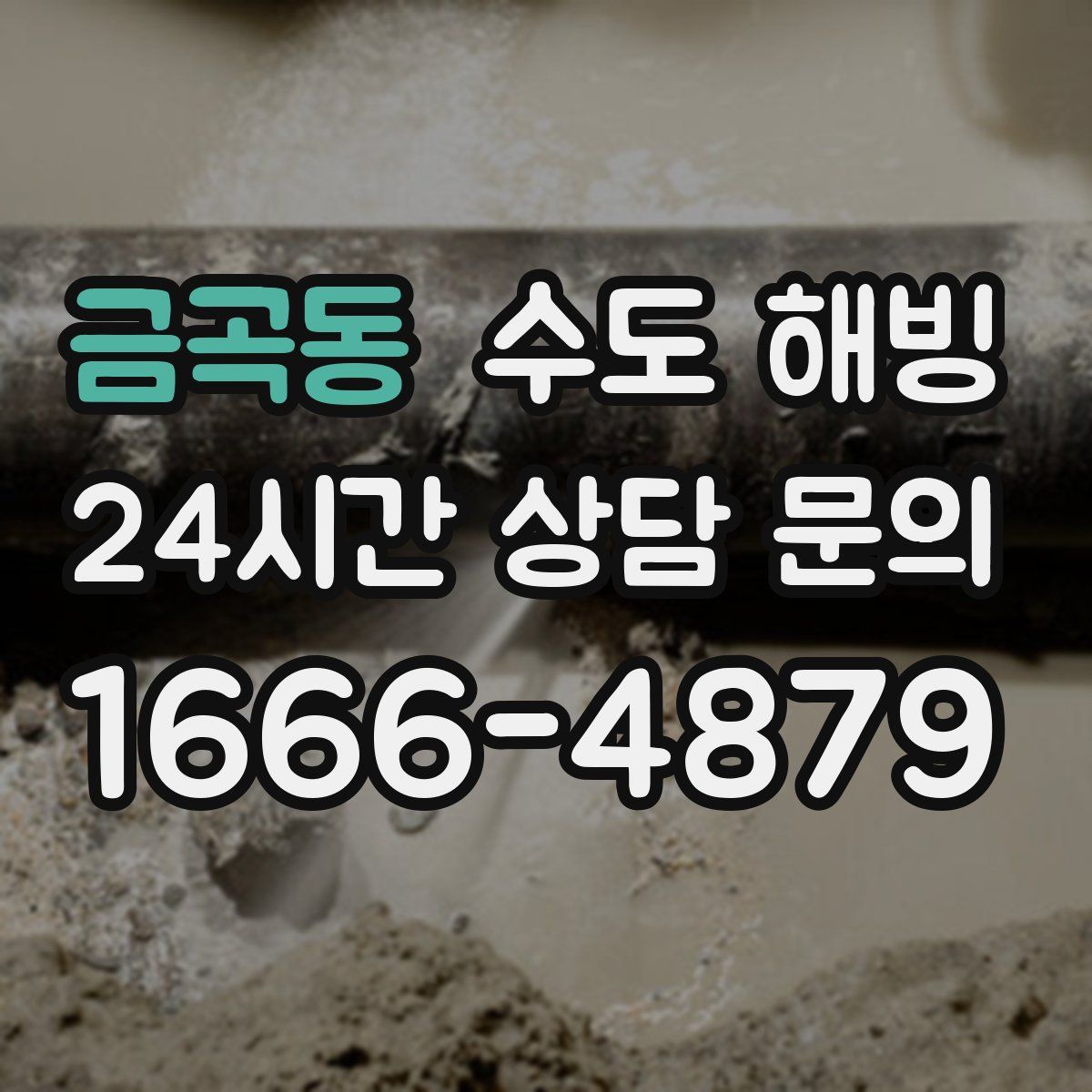 금곡동 수도 해빙