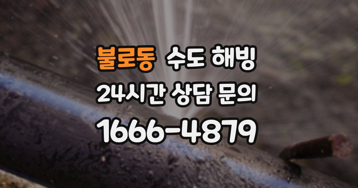 불로동 수도 해빙