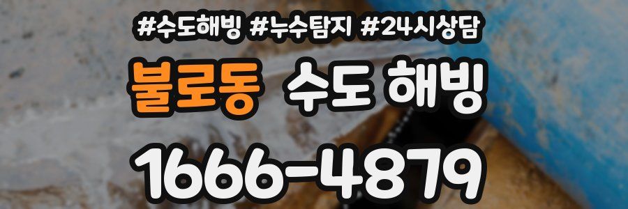 불로동 수도 해빙