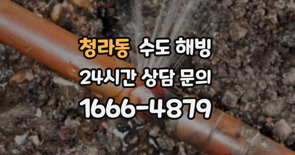 청라동 수도 해빙