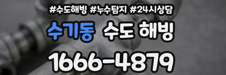 수기동 수도 해빙